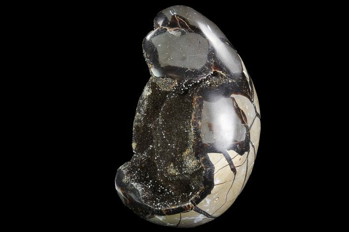 Bargain Septarian Dragon Egg Geode - Black Crystals #96716